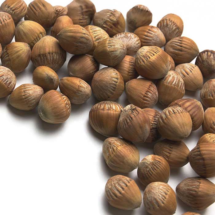 De-husked Cobnuts