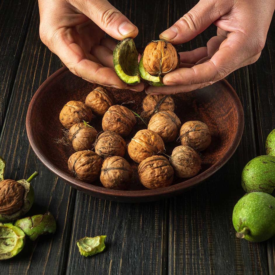 Fresh Walnuts